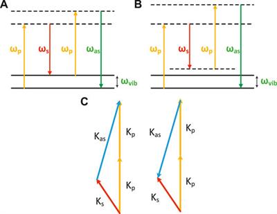 Coherent Anti-Stokes Raman Scattering Microscopy and Its Applications